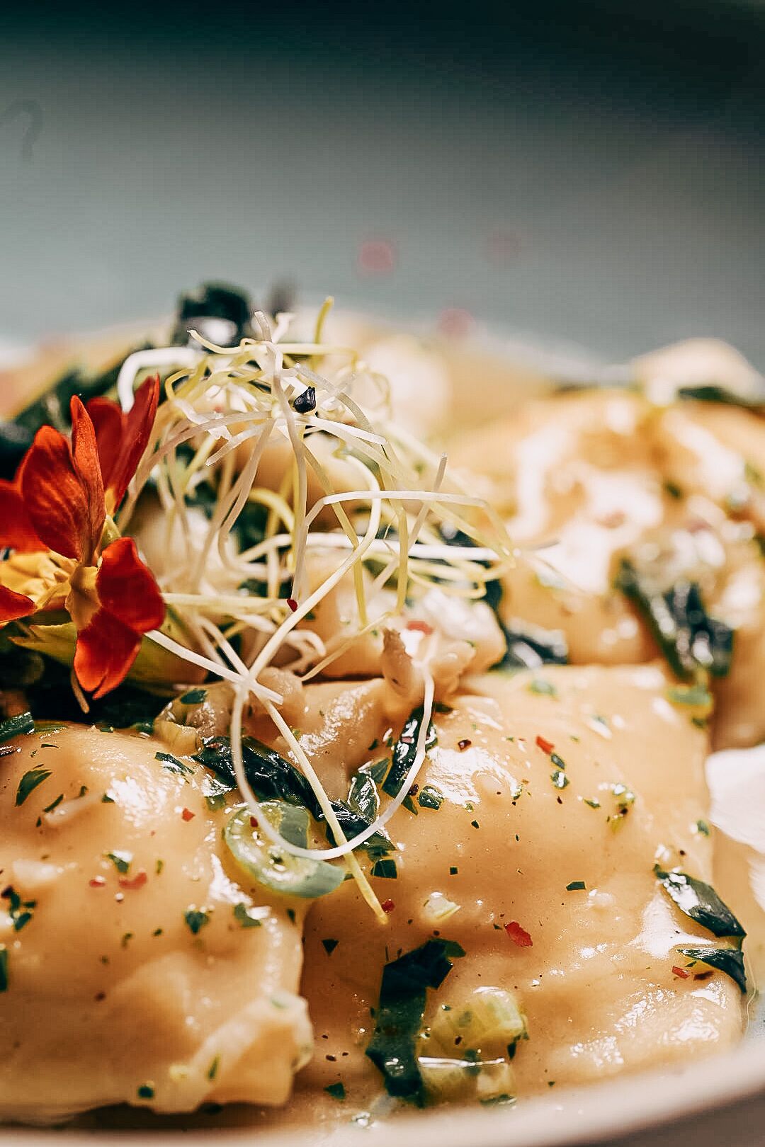 A close-up of a dish with ravioli, garnished with herbs and sprouts.