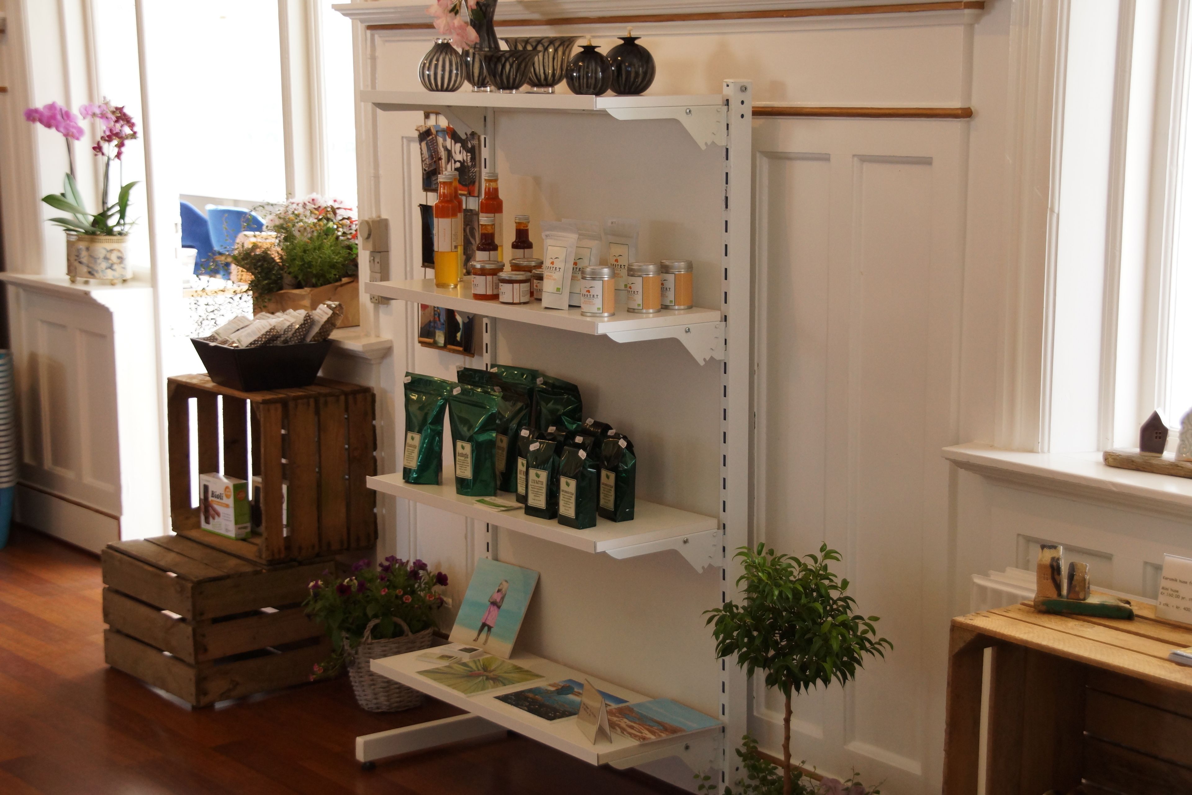 Une variété de produits sont exposés sur des étagères, notamment des bouteilles et des bocaux, dans une pièce bien éclairée, dotée d’un plancher en bois et agrémentée d’une petite plante.