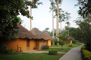 Filas de casas de campo con techo de paja, un sendero pavimentado y abundante vegetación.
