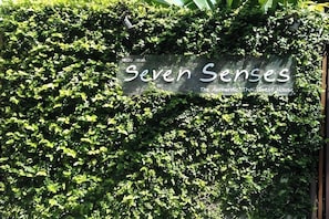 Opastekyltti, jossa lukee ”Seven Senses” ja ”The Authentic Thai Guest House”, on osittain peittynyt tiheän kasvillisuuden alle.