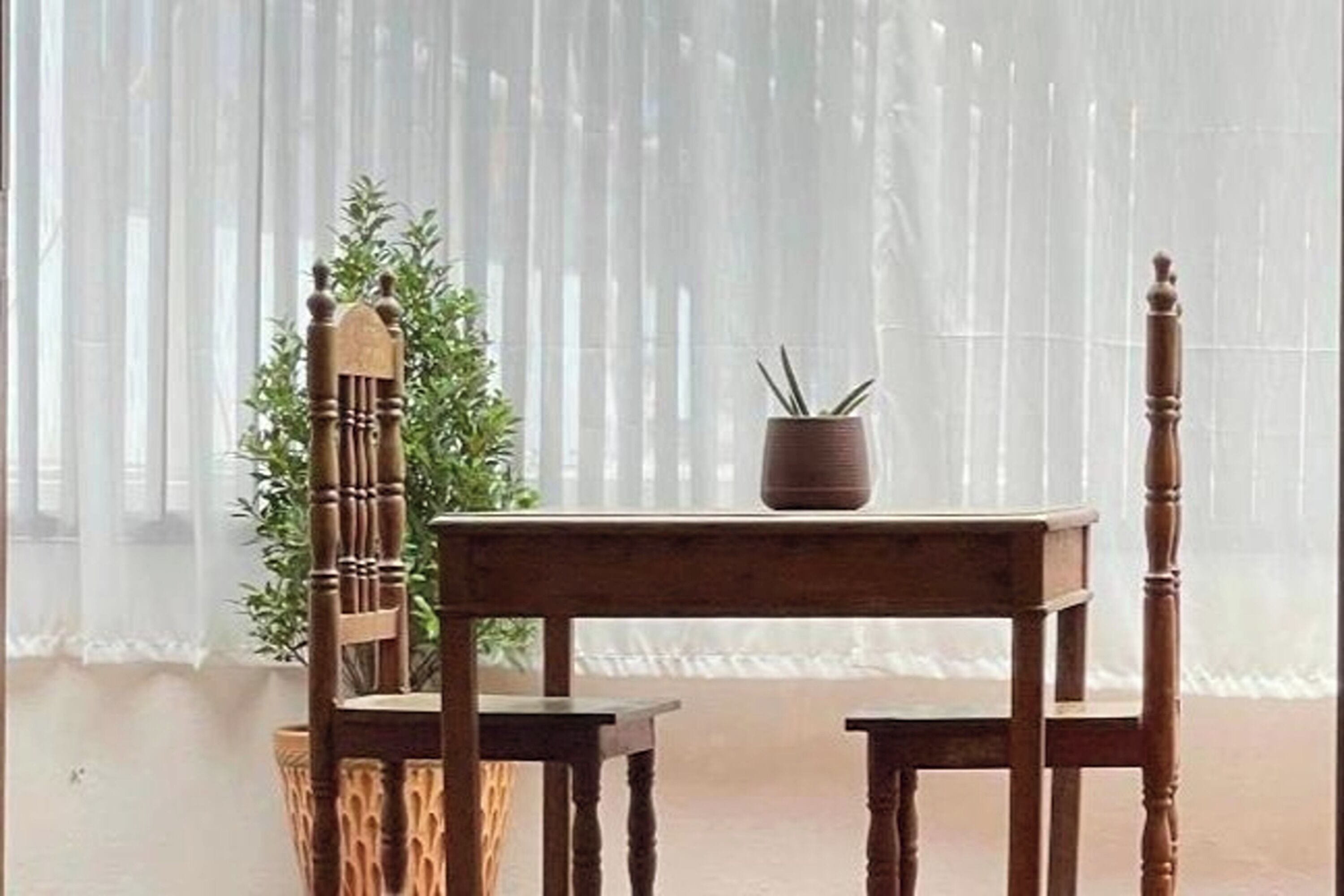 Een kamer met een houten stoel en tafel, een plant in pot en dunne gordijnen.