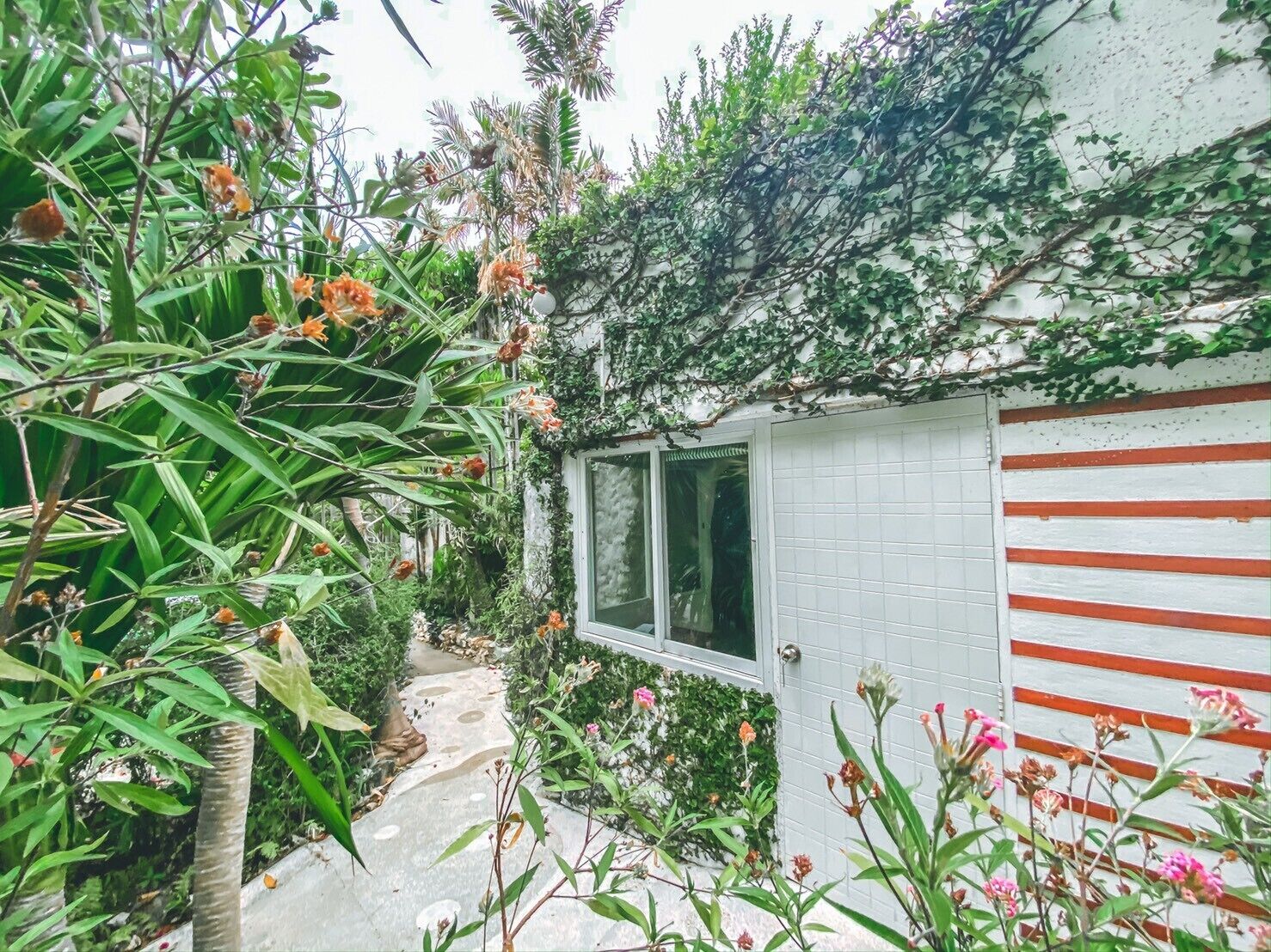 studio, garden view | view from room