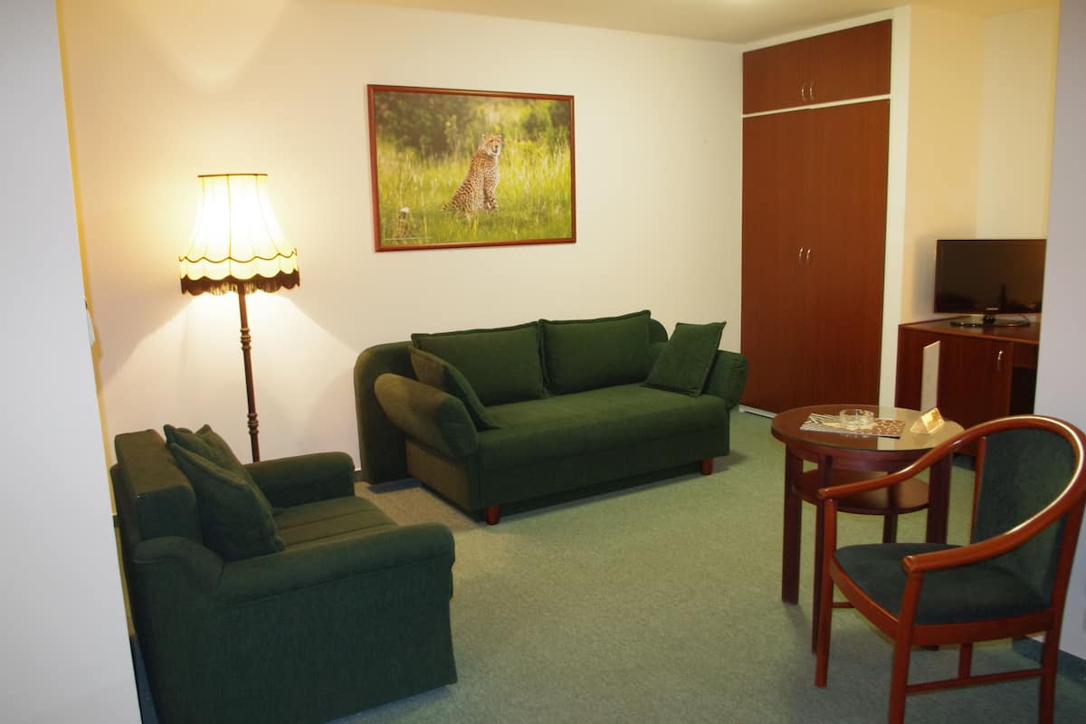 Apartamento clásico | Zona de estar | Una televisión LED