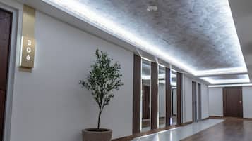 Un pasillo moderno con techo de tragaluces, un árbol en maceta y suelo de madera.