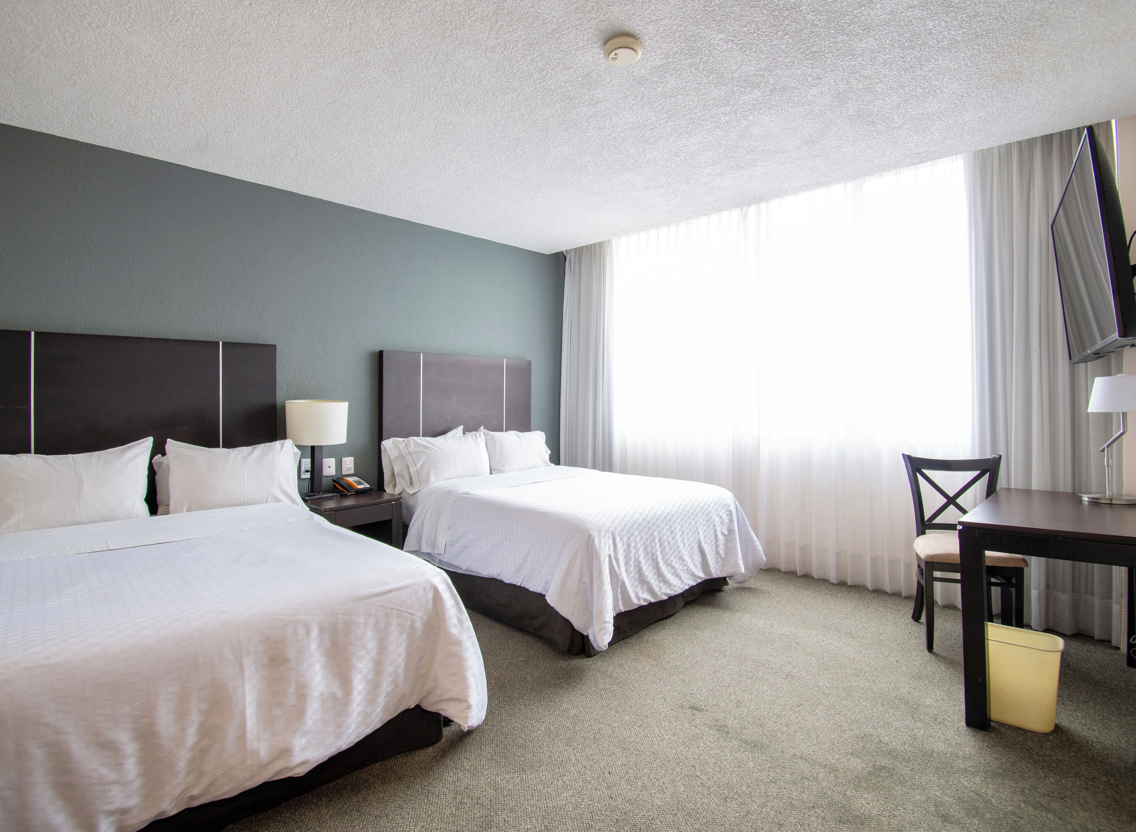 Photo - Hotel Plaza Génova Centro