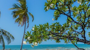 A hammock on a sandy beach with a palm tree and a view of the ocean. - Centara Grand Beach Resort Hua Hin (Hua Hin)
