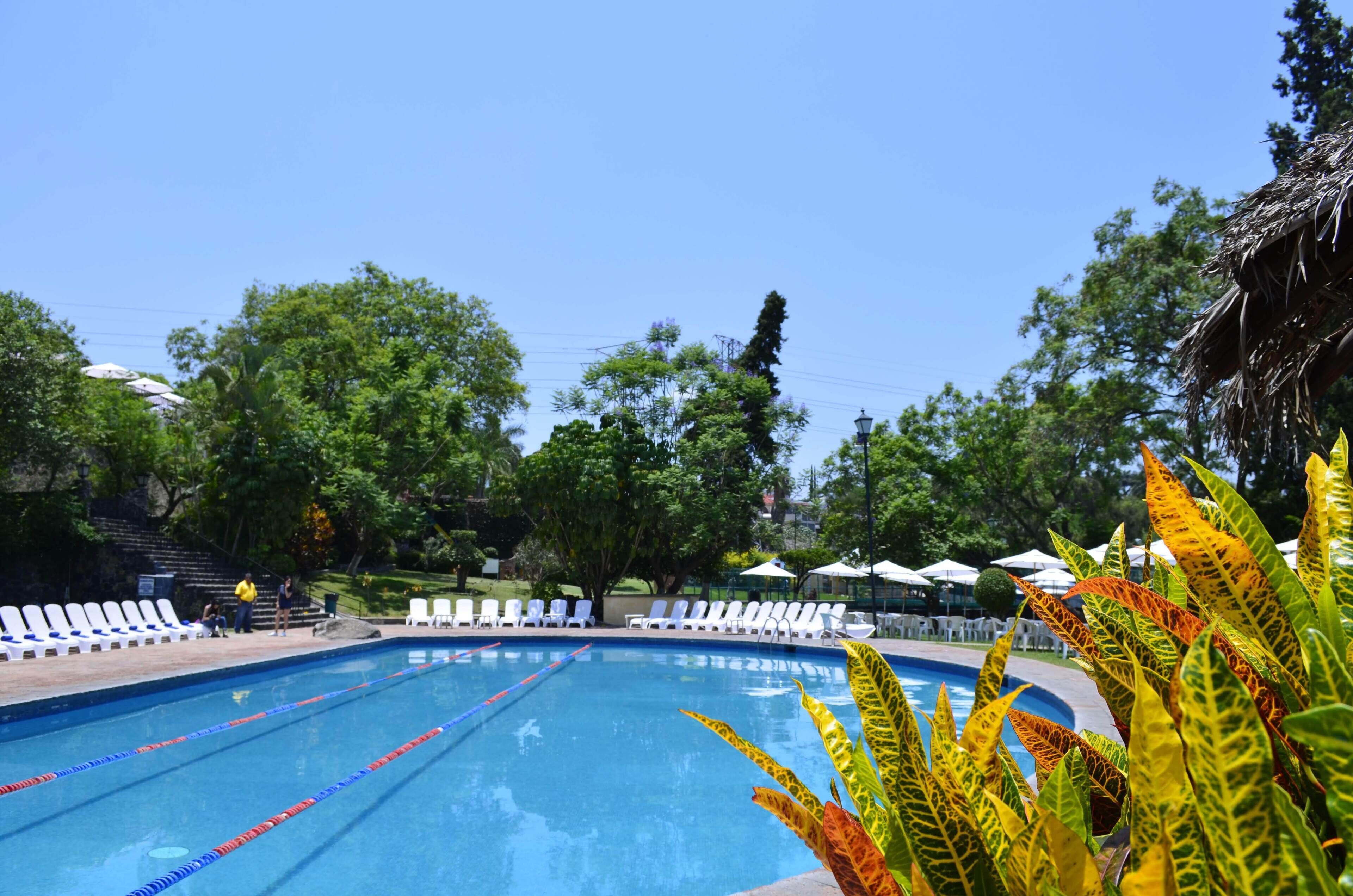 Una piscina al aire libre