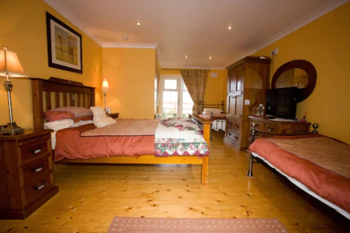 A bedroom with two beds, wooden furniture, a dresser, a mirror, and a television.