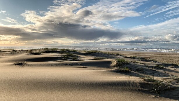 Una playa con dunas de arena y cielo nublado.