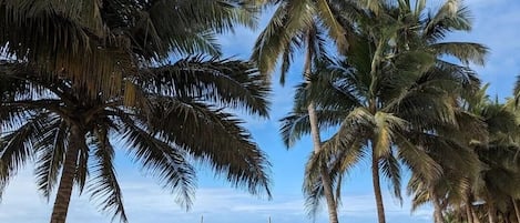 On the beach, sun loungers, beach volleyball
