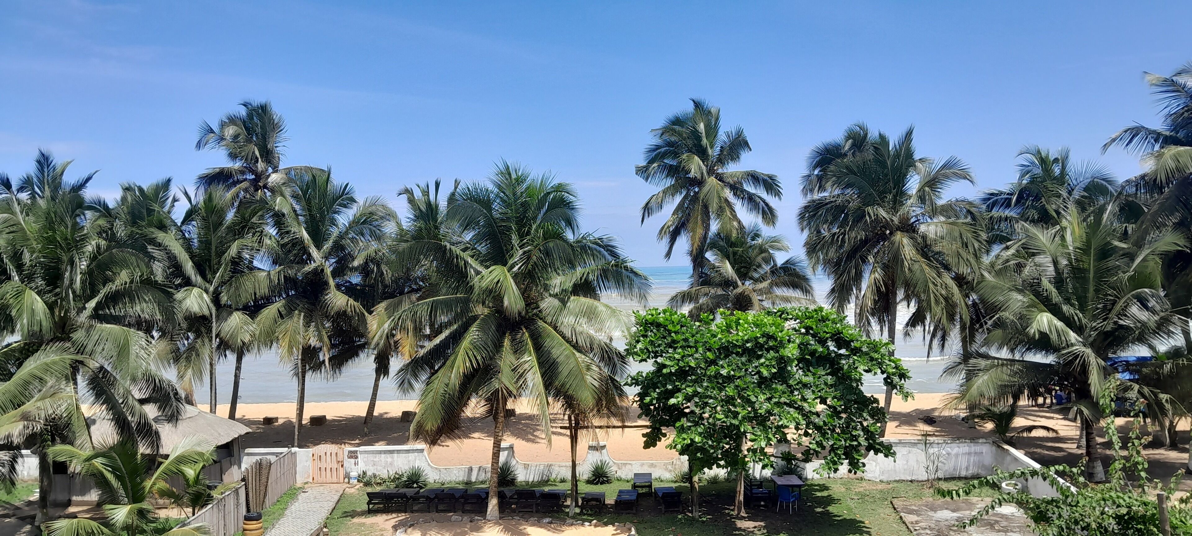 Ein Strand mit Palmen und blauem Himmel.