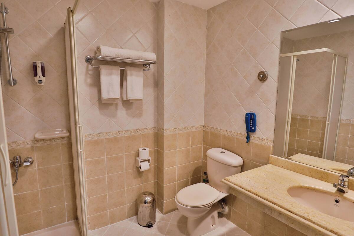 A bathroom with a shower, toilet, sink, and a mirror.