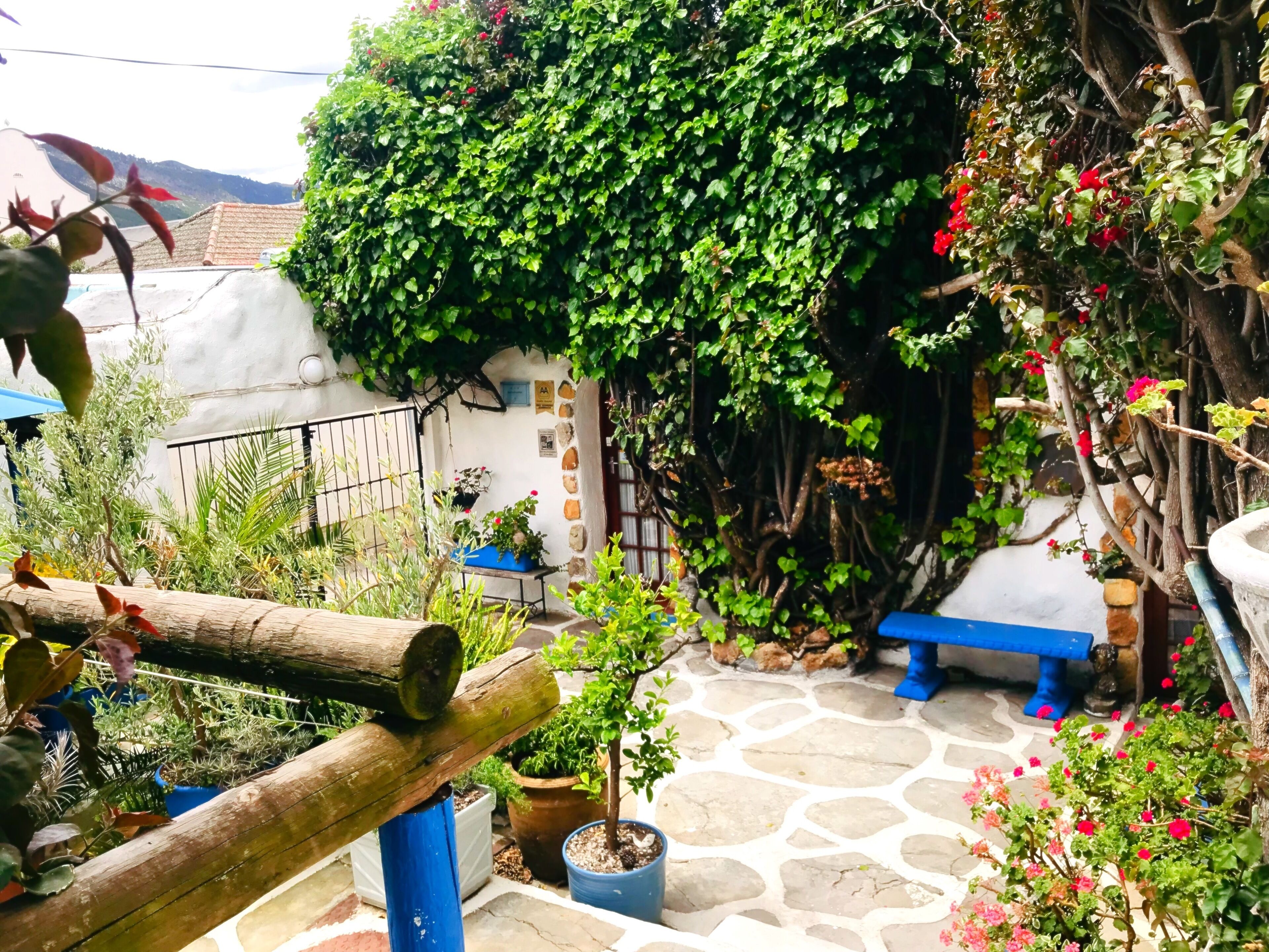 A courtyard with a stone floor, potted plants, a wooden fence, and a blue bench.