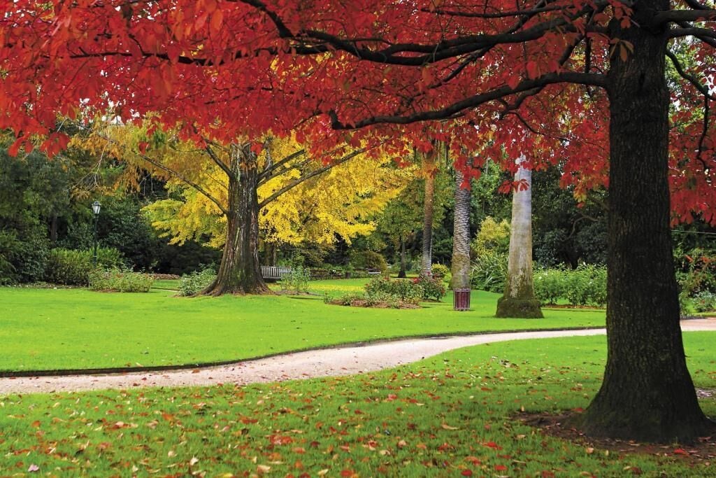 A park with a curved pathway, trees with autumn foliage, and a well-maintained lawn.