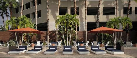 A poolside area with lounge chairs and umbrellas, palm trees, and a building in the background.