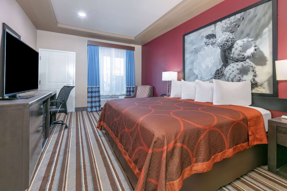 A hotel room with a bed, a desk, a TV, and a large cactus artwork on the wall.