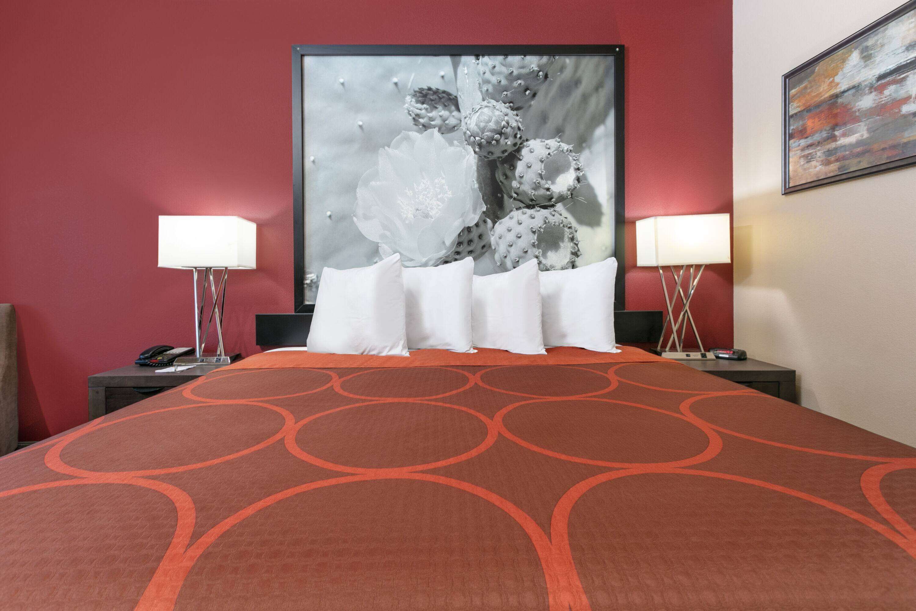 A hotel room with a large bed, two bedside tables with lamps, a red wall, and a framed artwork above the bed.