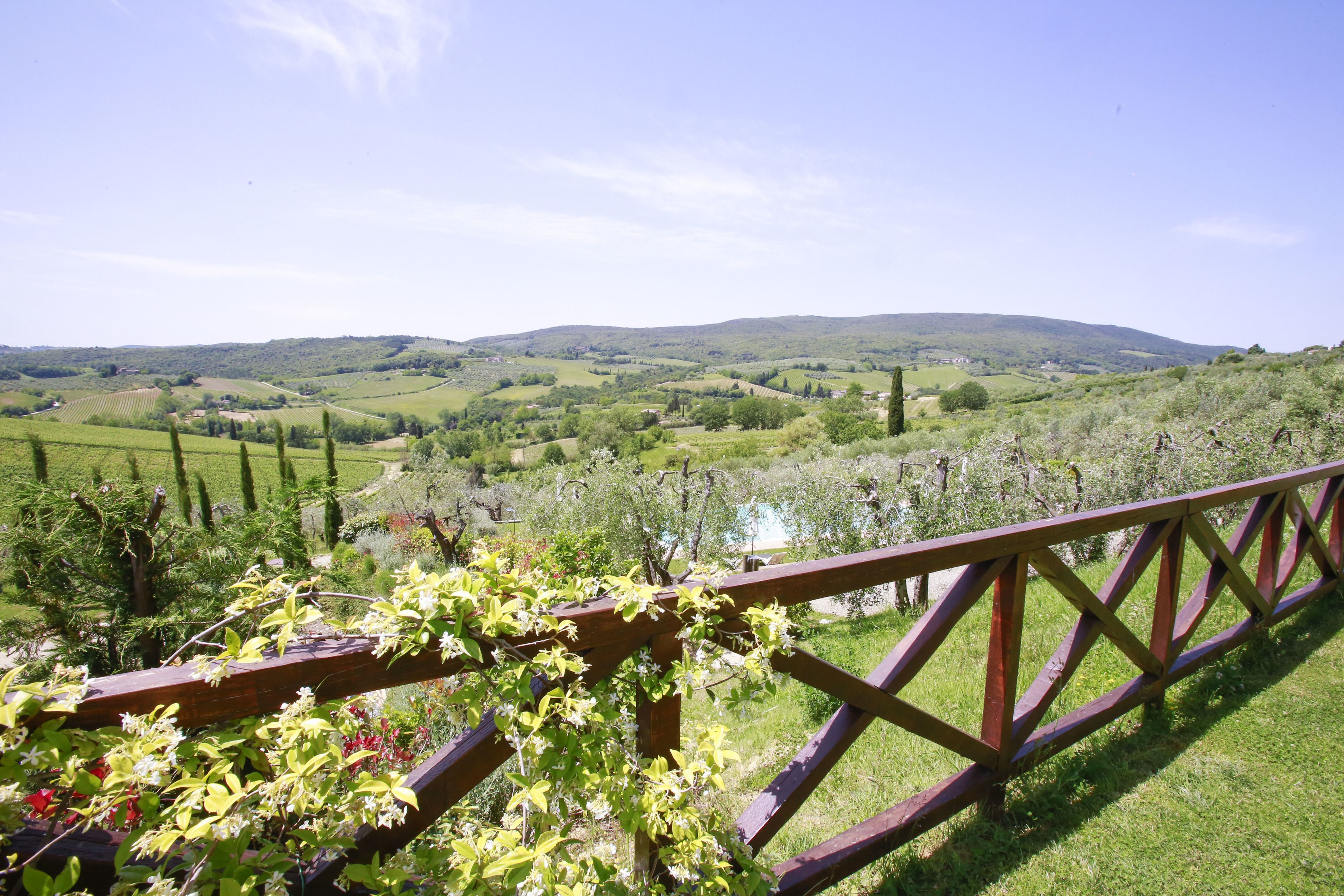 Foto - Fattoria Abbazia Monte Oliveto