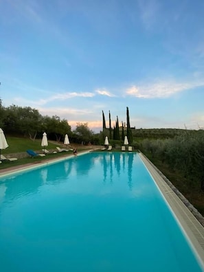Une piscine entourée de verdure et d’arbres, avec des chaises longues et des parasols.