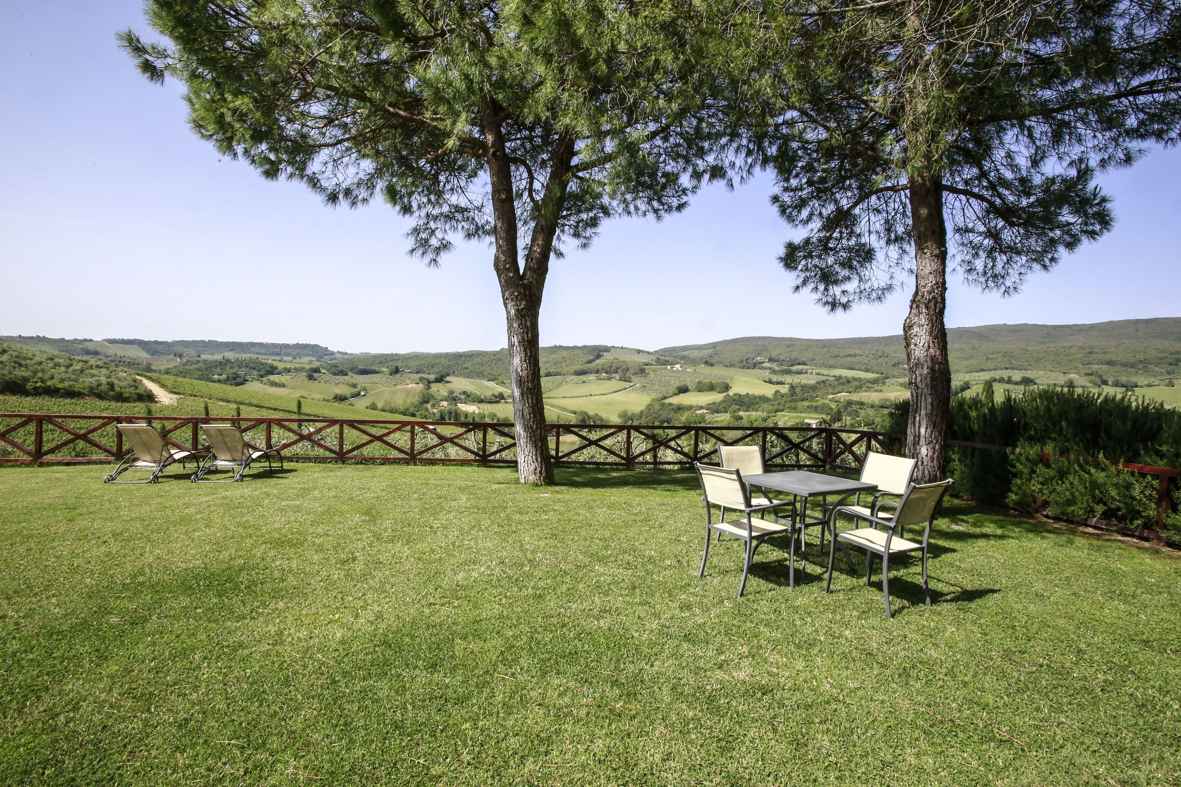 Foto - Fattoria Abbazia Monte Oliveto