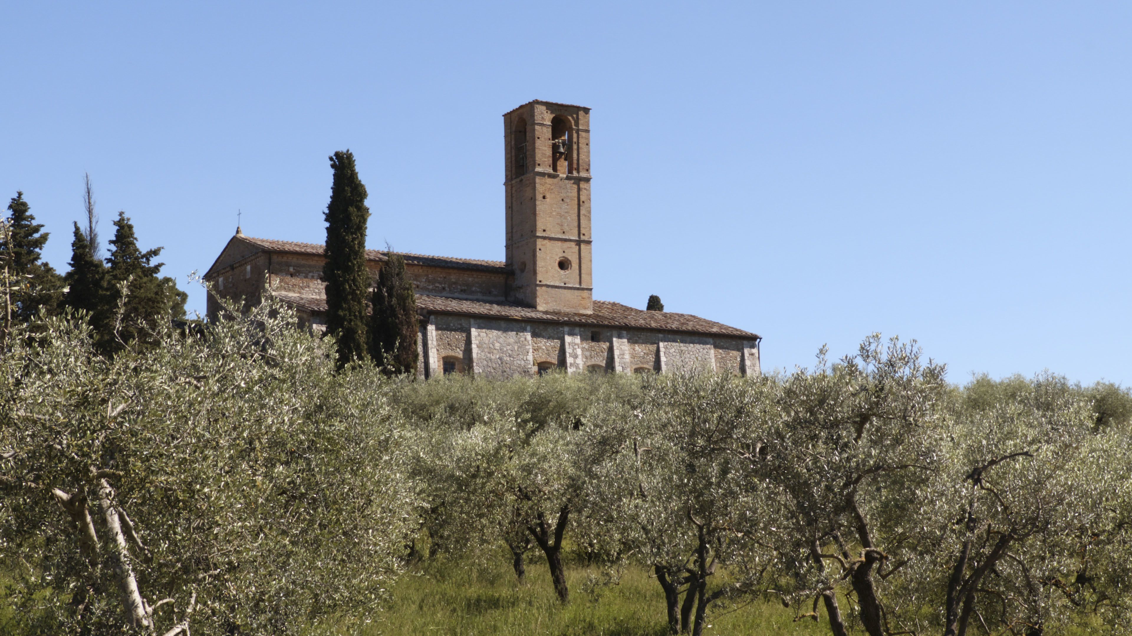Foto - Fattoria Abbazia Monte Oliveto