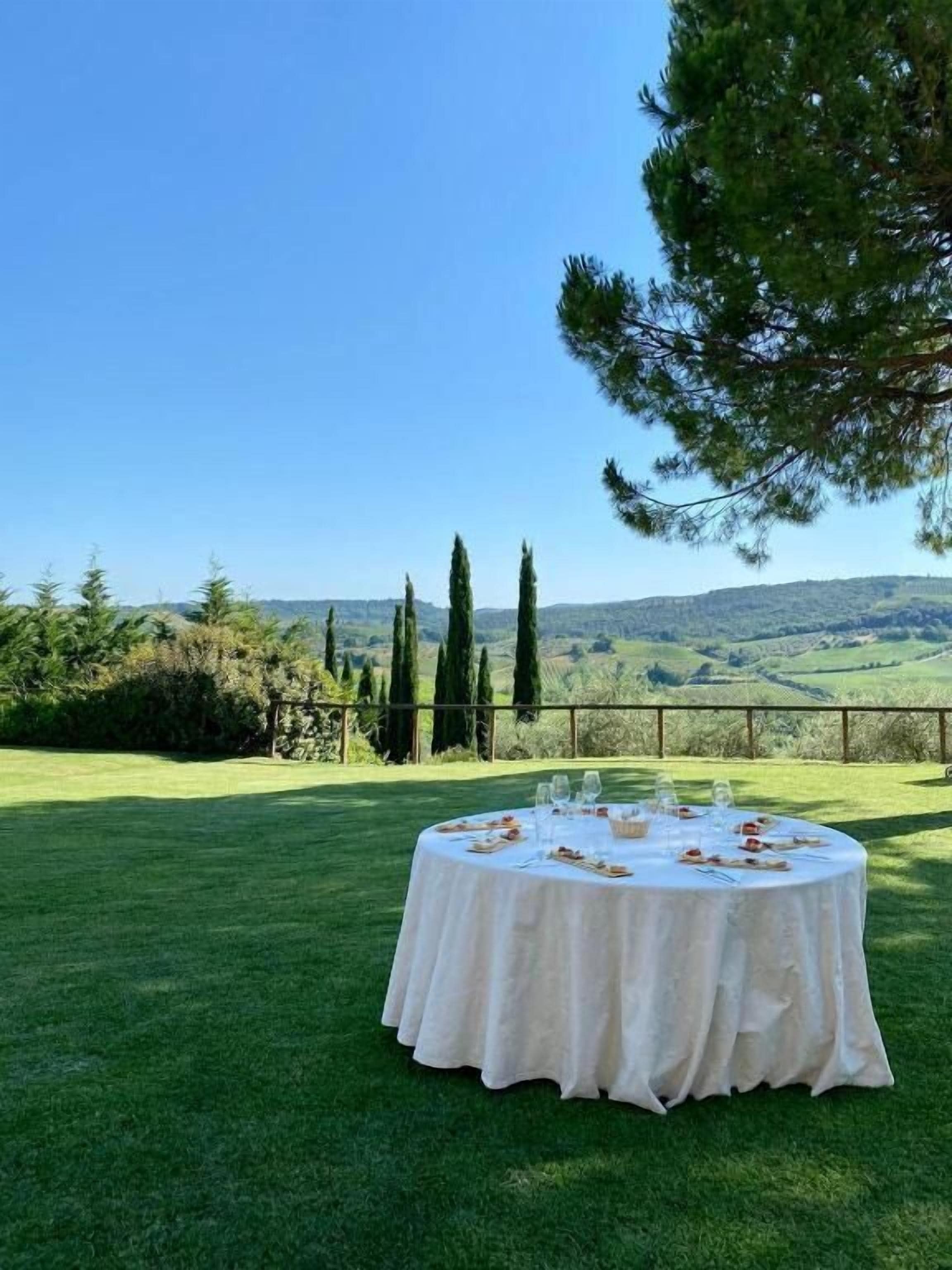 An outdoor dining area with a table set for a meal, surrounded by a grassy lawn and a scenic view of hills and trees.