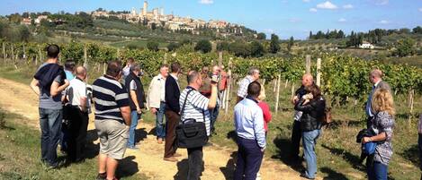 A group of people standing on a dirt path in a vineyard with a historic building in the background.