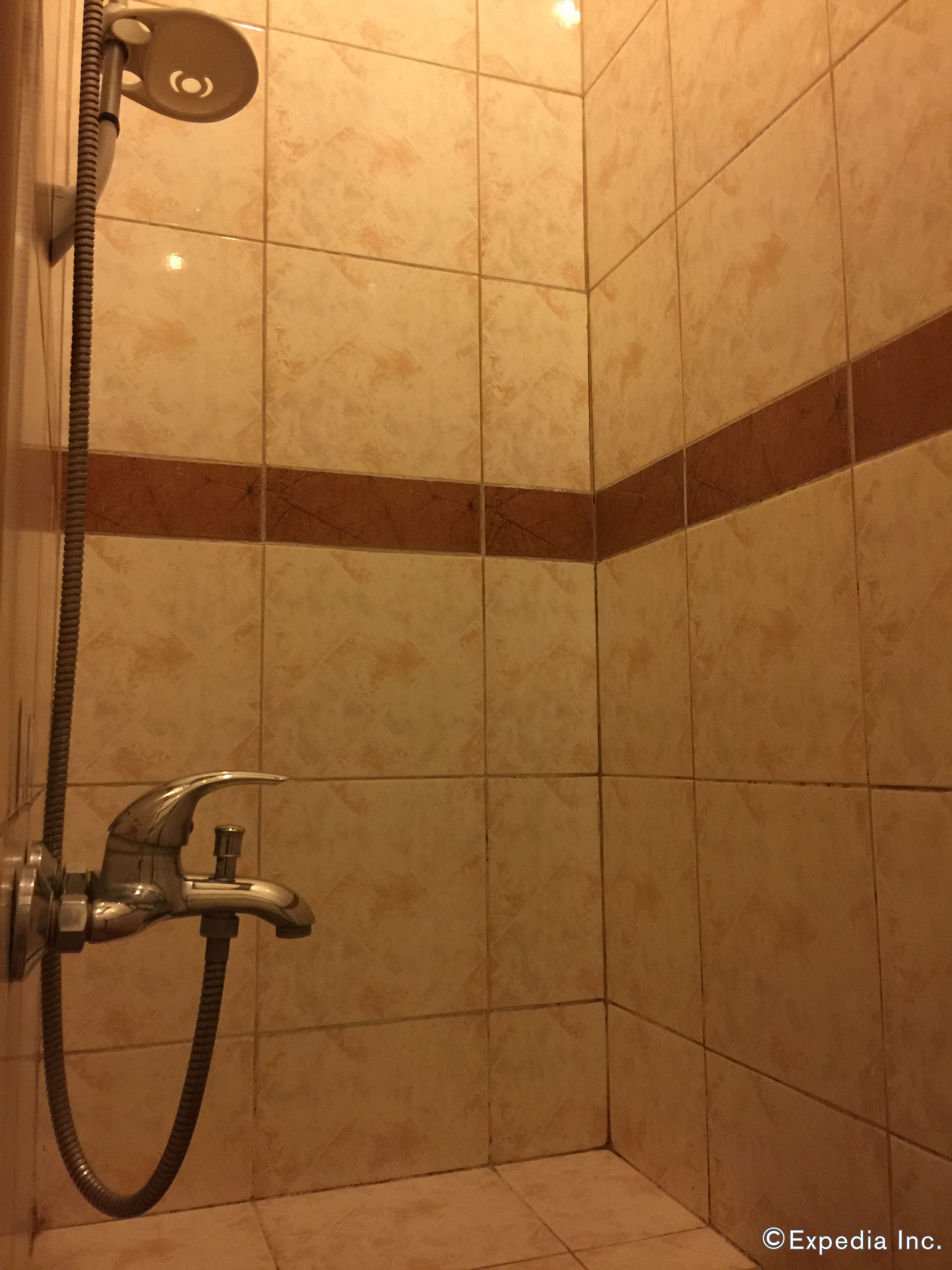 superior room | bathroom | shower, free toiletries, towels