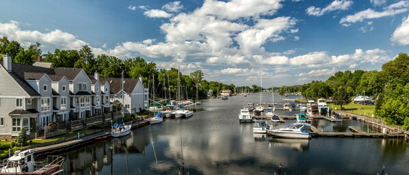 View from property - Picton Harbour Inn (Prince Edward)