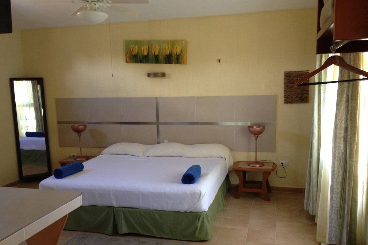 Suite, 1 cama King size | 1 habitación, ropa de cama de alta calidad, escritorio y ropa de cama 