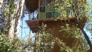 A treehouse with a thatched roof and a window with a grid pattern. - Kuychi Rumi (Urubamba)