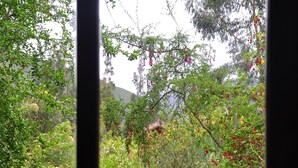A view through a window with a wooden fence and greenery outside. - Kuychi Rumi (Urubamba)