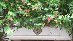 Pintu masuk properti