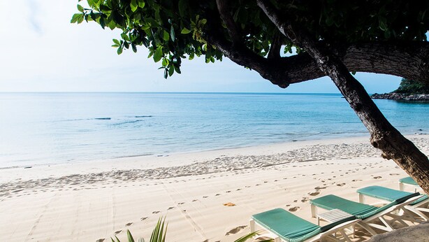 A beach with a tree providing shade, a sandy shore, and a calm sea. - Sans Souci Samui (Koh Samui)