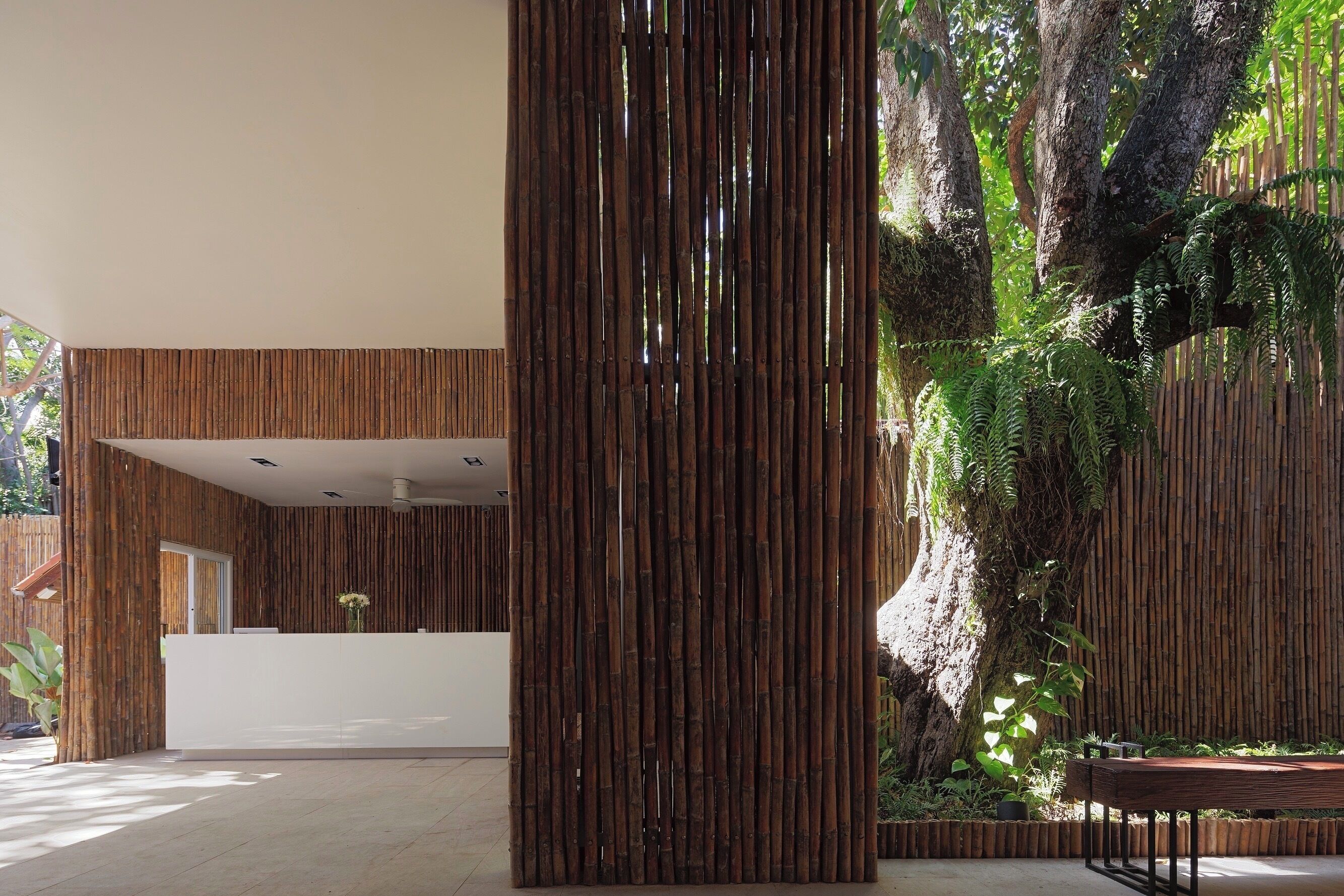 Un espace d’accueil doté d’un comptoir en bois, d’une grande colonne en bambou et d’un décor naturel composé d’arbres et de plantes.