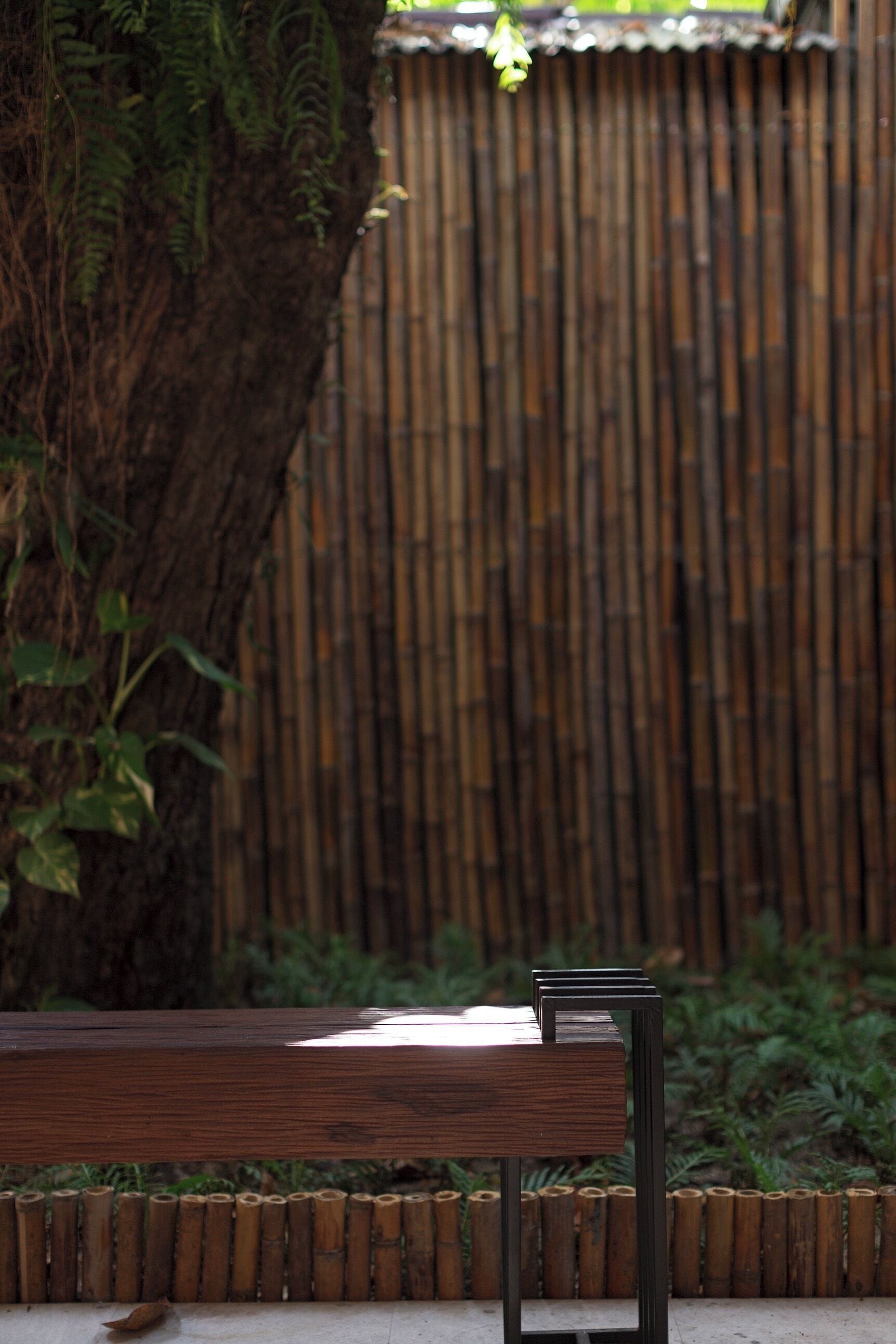 A wooden bench with metal legs, positioned in front of a bamboo fence and a tree.