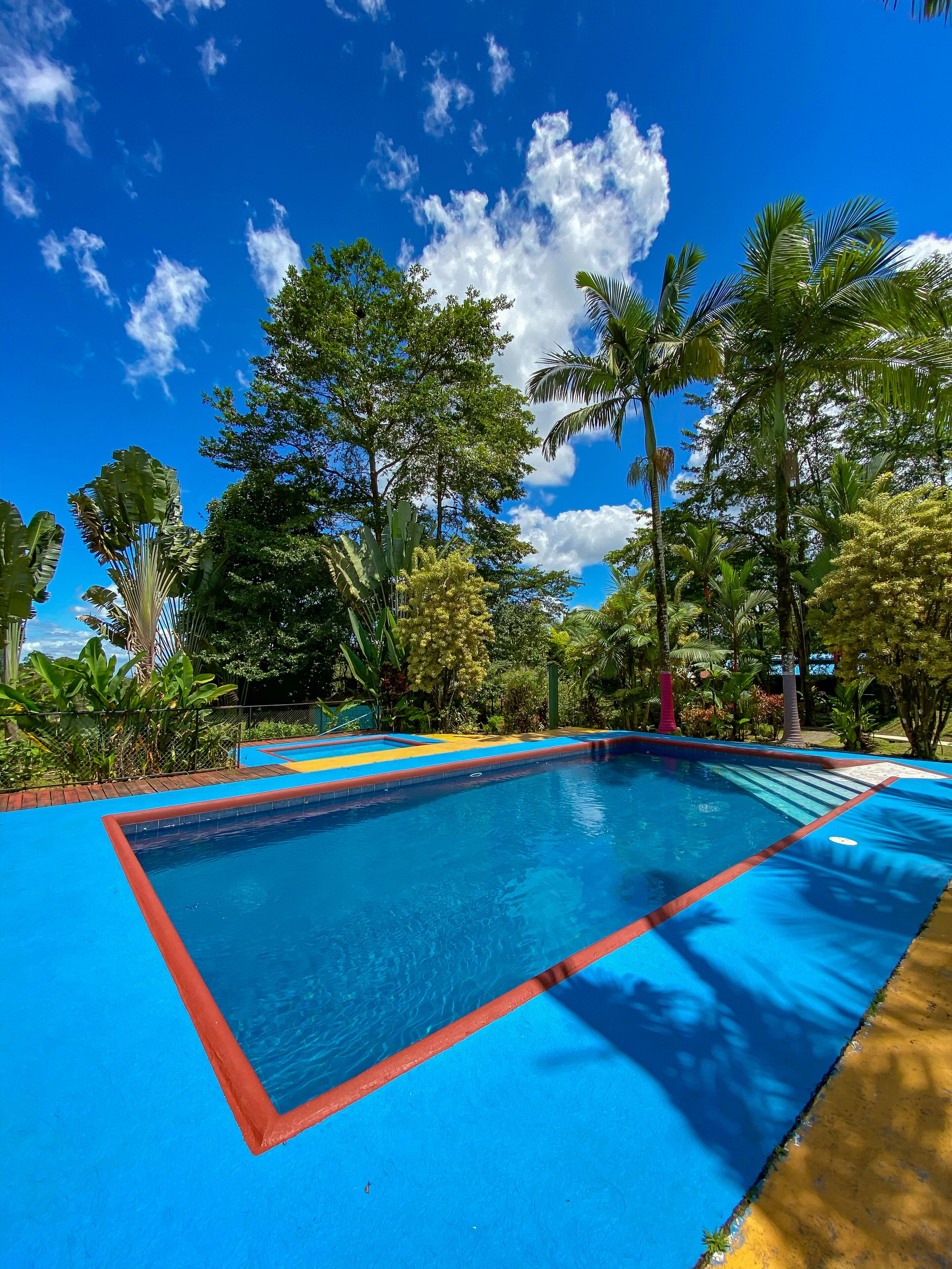 Una piscina con borde azul y rojo, rodeada de exuberante vegetación y palmeras.