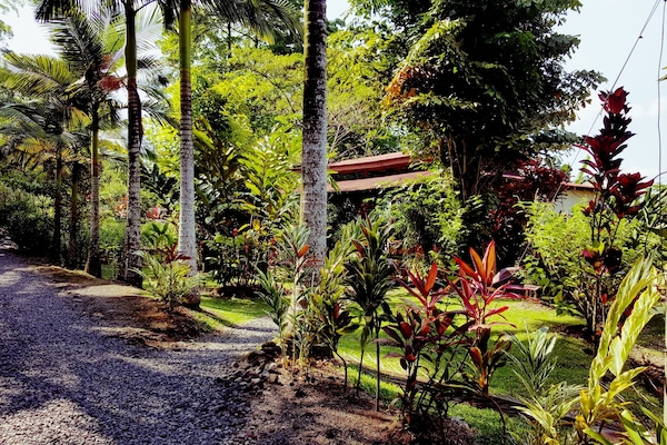 Desayuno con opciones de la cocina local incluido todos los días