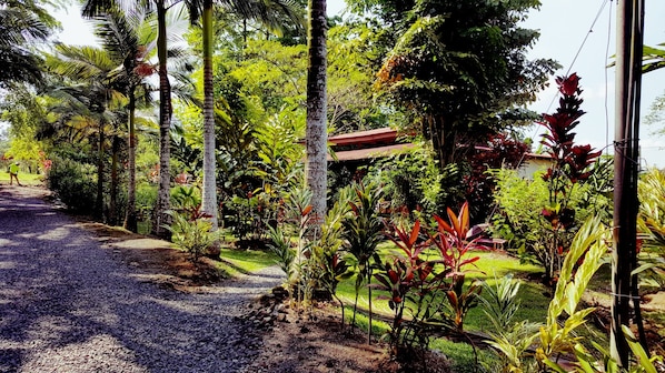 Petit déjeuner composé de spécialités régionales compris tous les jours