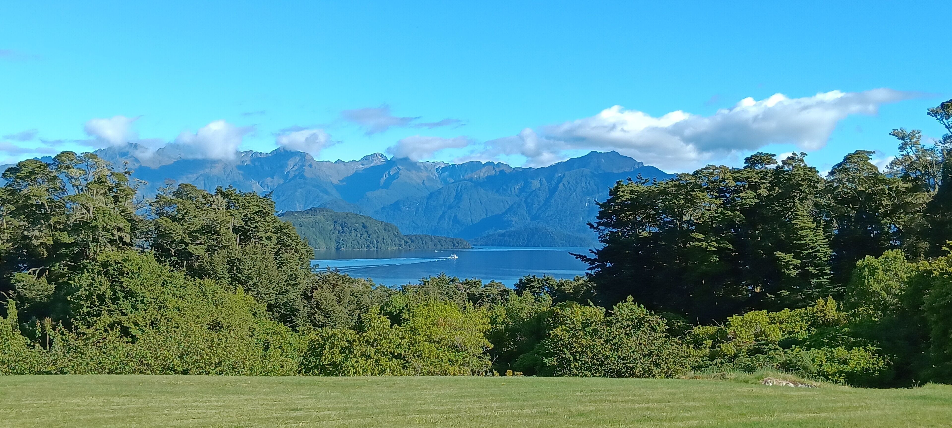 Un paysage montagneux avec un lac et une forêt dense.