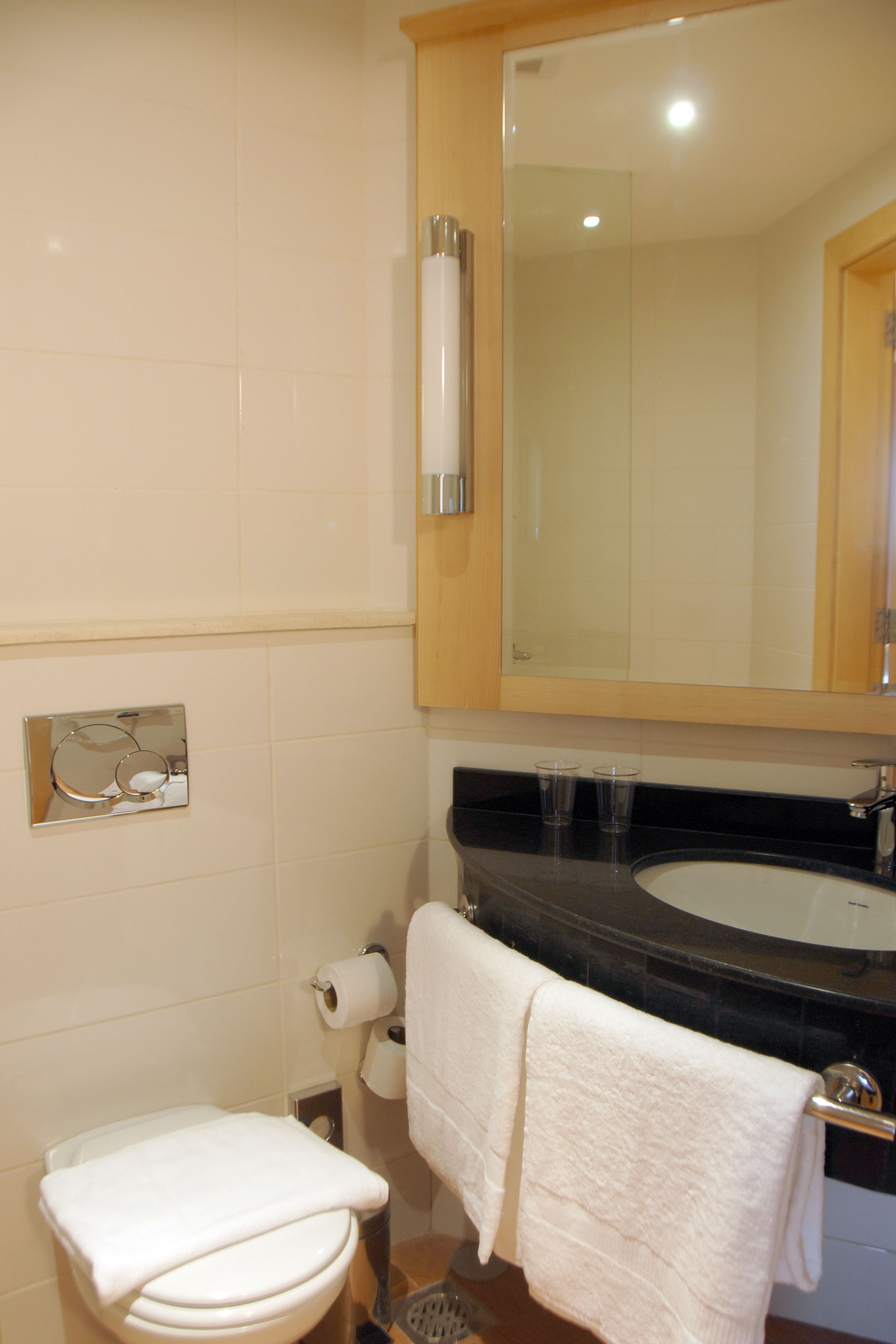 Un baño con inodoro, lavamanos, espejo y toallero.