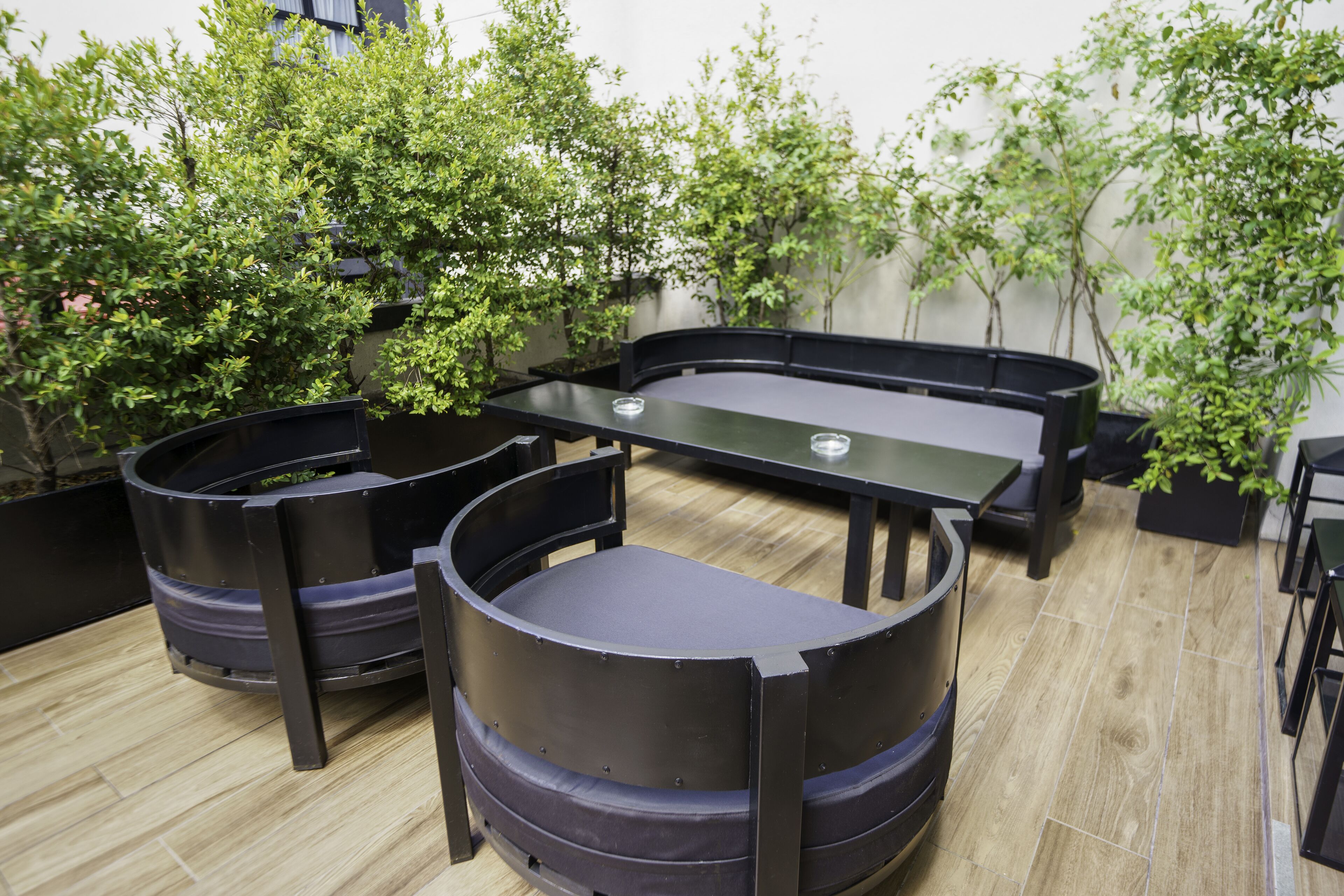 Un área de estar moderna al aire libre con una mesa curva y sillas, rodeada de plantas en macetas y un piso de madera.
