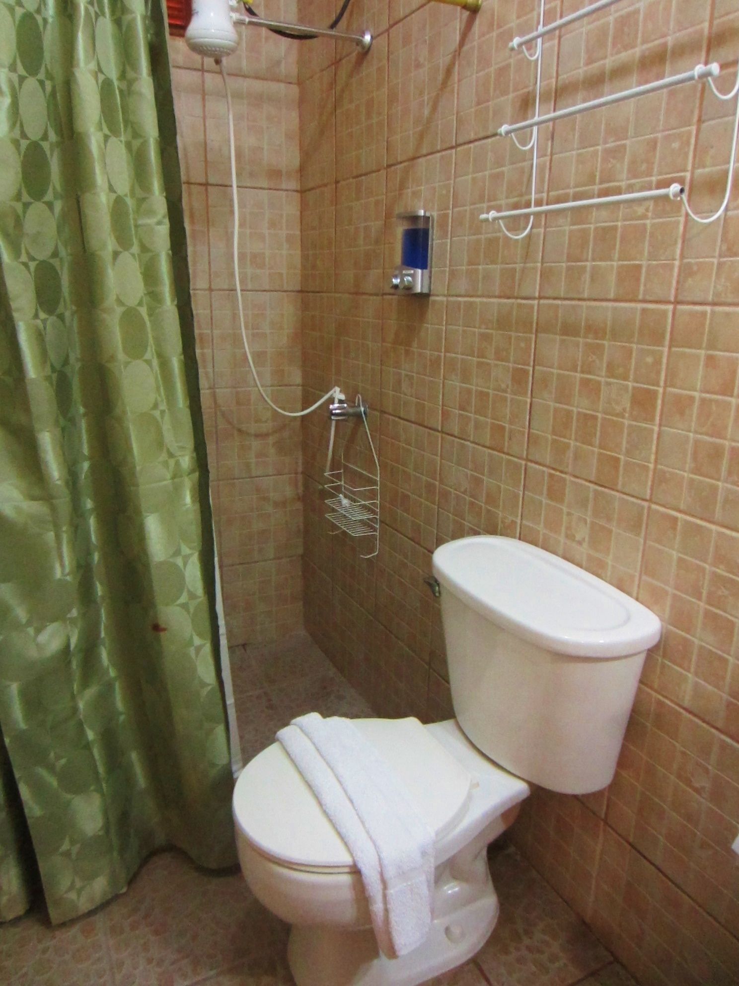 A bathroom with a toilet, a shower, and a towel rack.