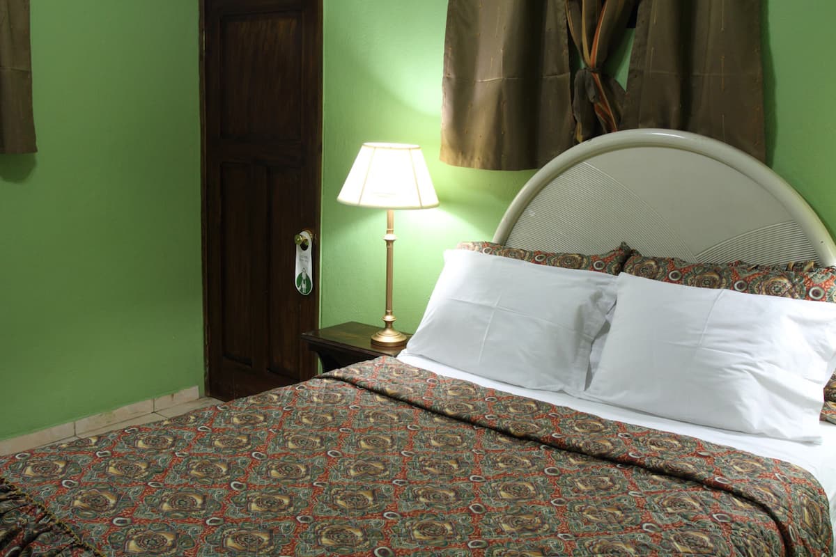 A bedroom with a patterned bedspread, a bedside lamp, and a headboard.