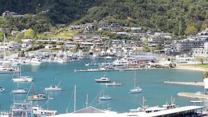 A marina with numerous boats docked, surrounded by residential buildings and a prominent building labeled "EDWIN FOX". - Harbour View Motel (Picton)