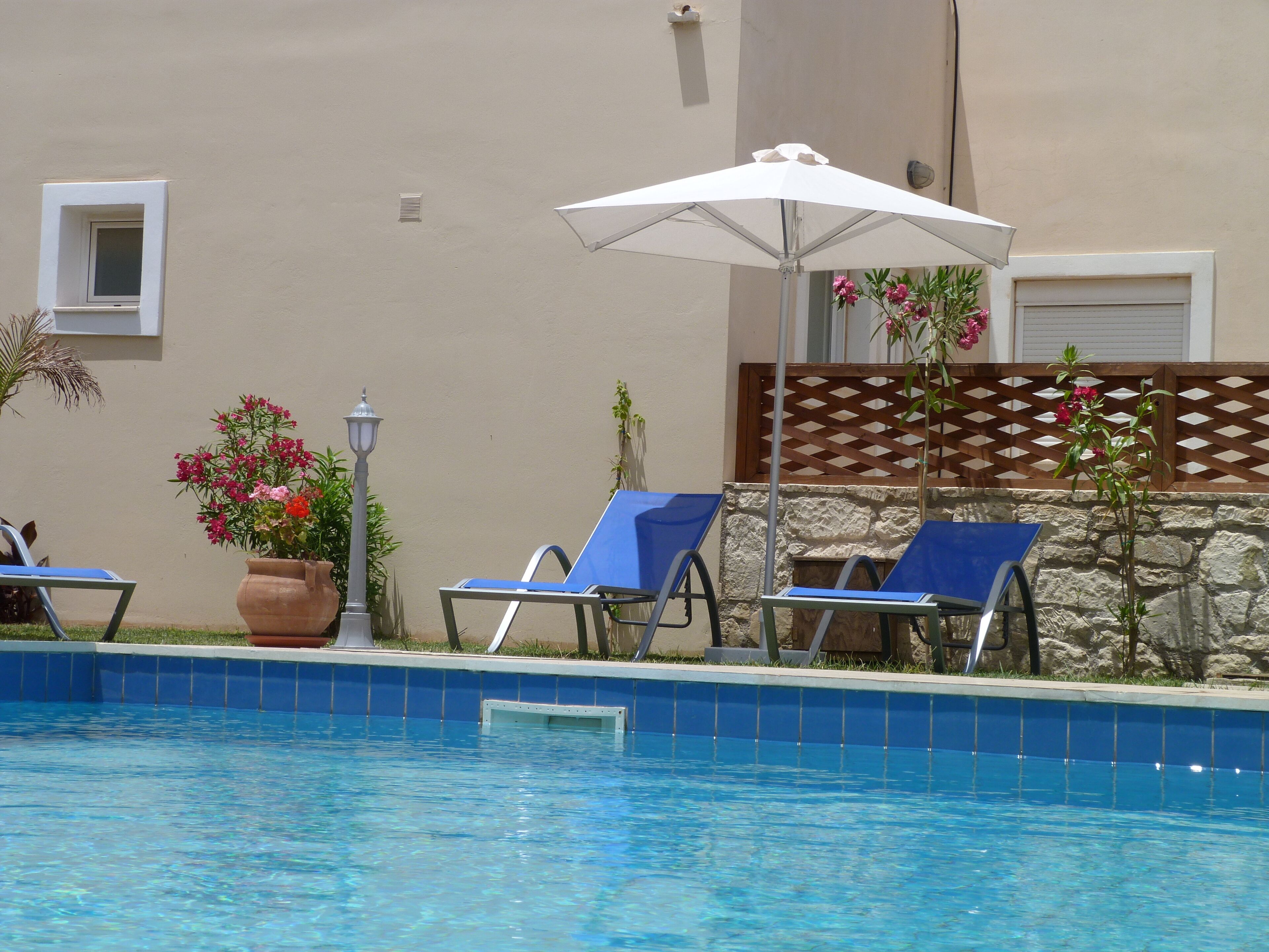 Una piscina amb rajoles blaves, dues gandules blaves, un parasol blanc i una planta en test amb flors roses.
