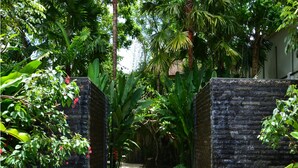 Un sentier bordé de murs de pierre qui traverse un jardin luxuriant, où poussent différentes plantes tropicales, et au-dessus duquel s’étend un ciel dégagé.