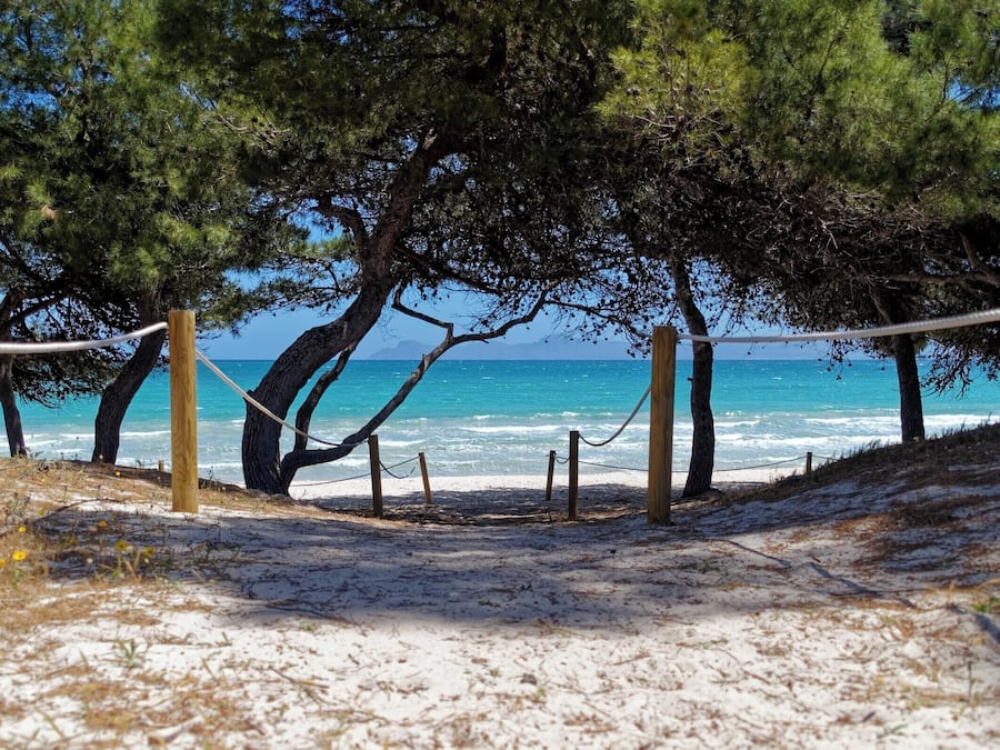 Playa en los alrededores