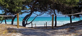 Apartamentos Carlos V