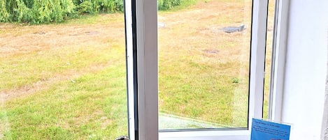 A window with a view of a grassy yard and trees.